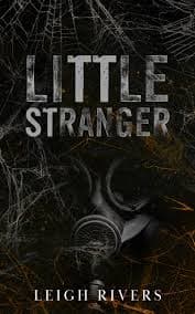 Little Stranger by Leigh Rivers